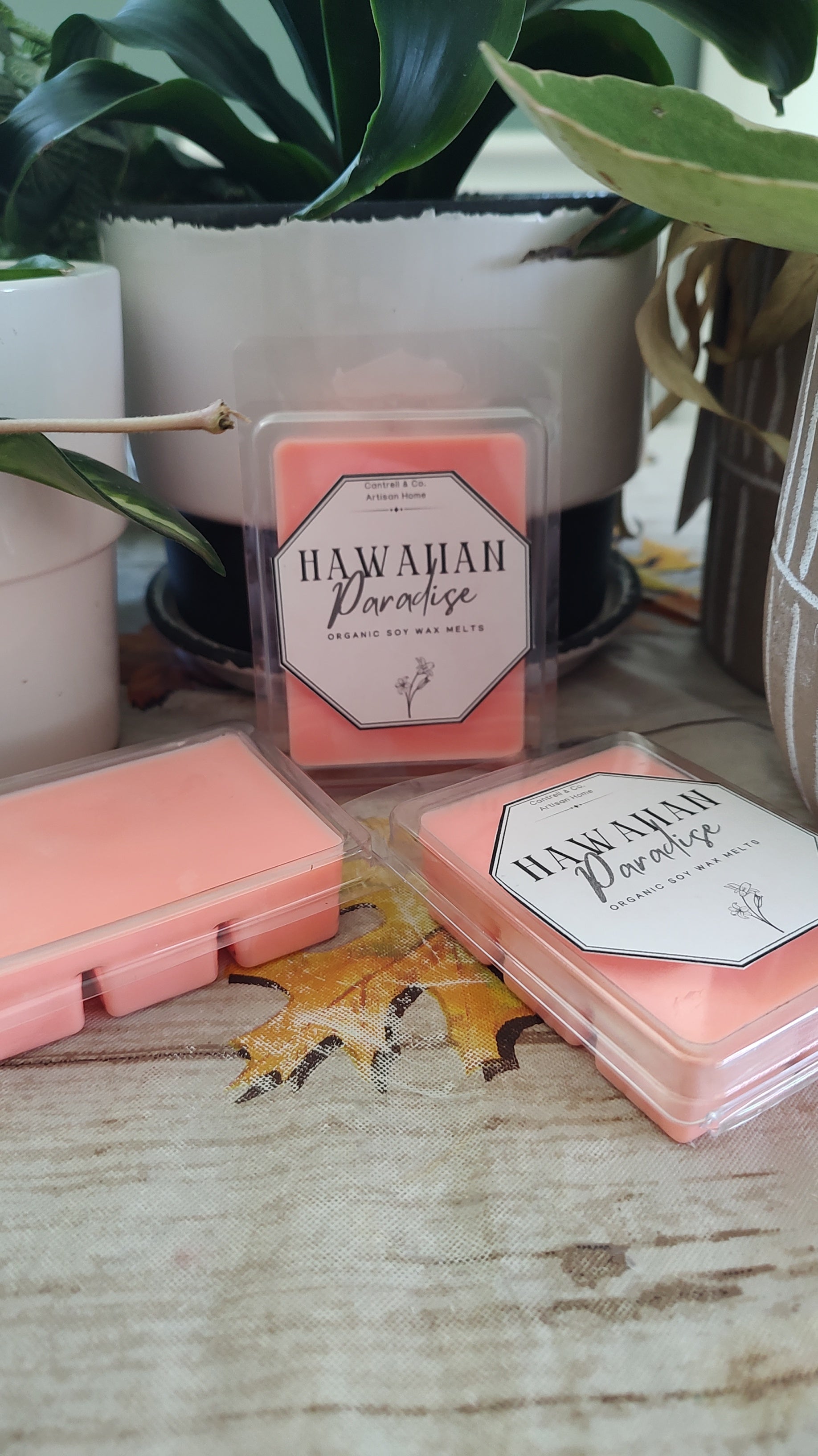 Signature Wax Melts